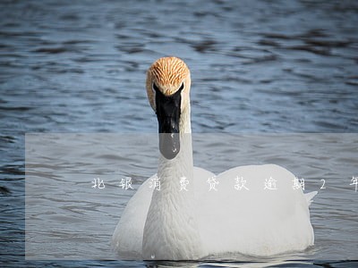 北银消费贷款逾期2年半 北银消费贷款逾期2年半