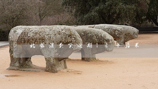 北银消费贷逾期12年后果 北银消费贷逾期12年后果