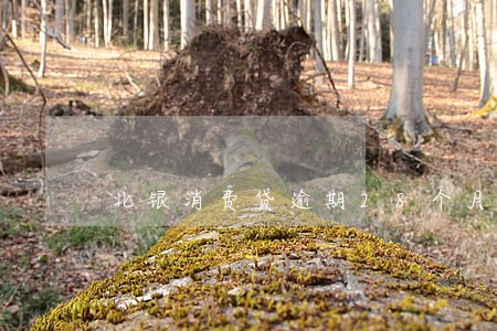 北银消费贷逾期28个月 北银消费贷逾期28个月