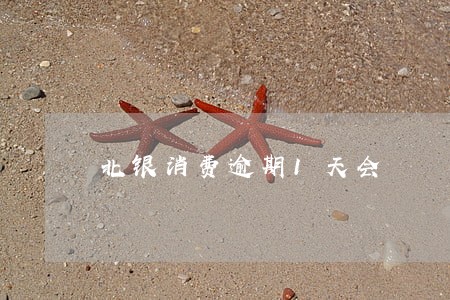 北银消费逾期1天会 北银消费逾期1天会