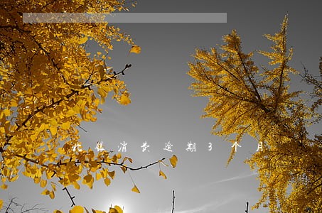 北银消费逾期3个月 北银消费逾期3个月