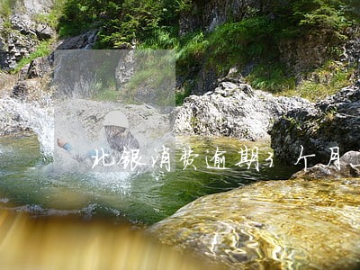 北银消费逾期3个月上征信吗 北银消费逾期3个月上征信吗