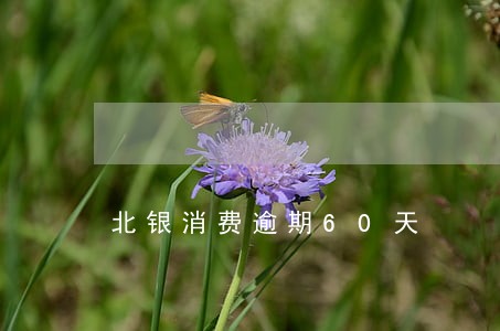 北银消费逾期60天 北银消费逾期60天