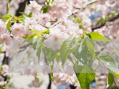 北银消费逾期73天 北银消费逾期73天