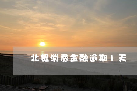 北银消费金融逾期1天 北银消费金融逾期1天