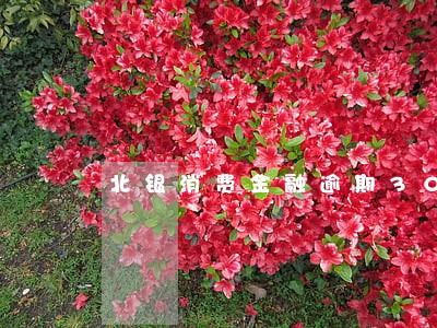 北银消费金融逾期30天 北银消费金融逾期30天