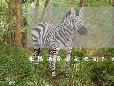 北银消费金融逾期7天