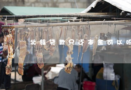 北银贷款只还本金可以吗 北银贷款只还本金可以吗