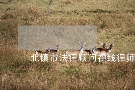 北镇市法律顾问在线律师 北镇市法律顾问在线律师