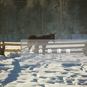 北青政律师 北青政律师