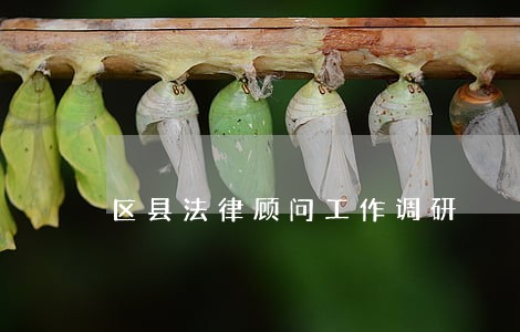 区县法律顾问工作调研 区县法律顾问工作调研