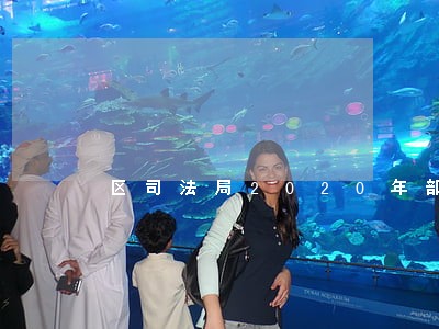 区司法局2020年部门预算公开 区司法局2020年部门预算公开