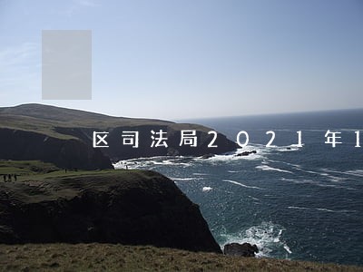区司法局2021年1 区司法局2021年1