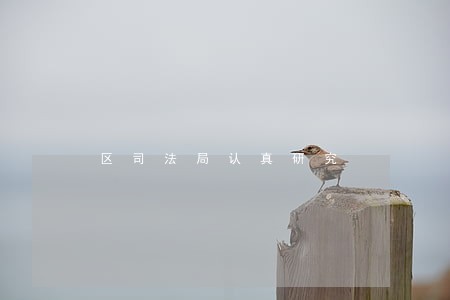 区司法局认真研究 区司法局认真研究