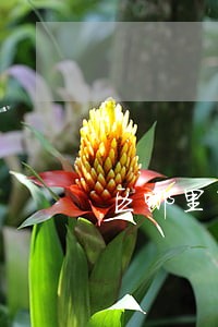 区哪里有婚姻家庭律师