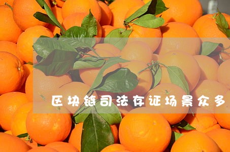 区块链司法存证场景众多 区块链司法存证场景众多