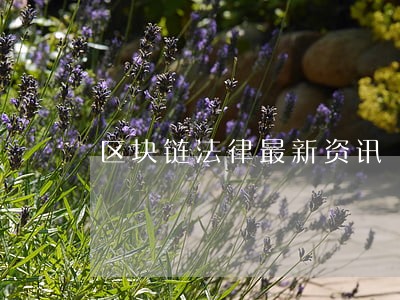 区块链法律最新资讯