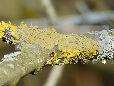 区块链领域资深律师上海