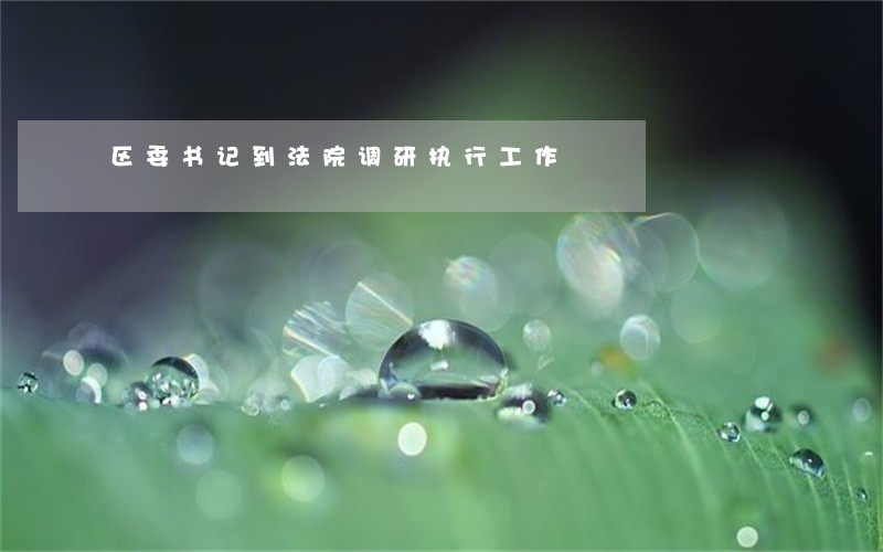区委书记到法院调研执行工作