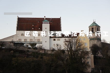 区委书记视察法院执行工作