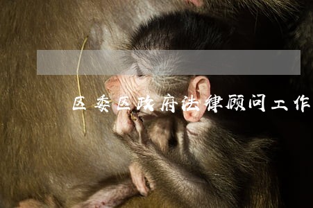 区委区政府法律顾问工作规则 区委区政府法律顾问工作规则