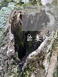 区委组织部和法院哪个好 区委组织部和法院哪个好