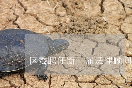区委聘任新一届法律顾问 区委聘任新一届法律顾问