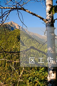 区工伤权威律师多少钱