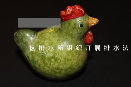 区排水所组织开展排水法规培训