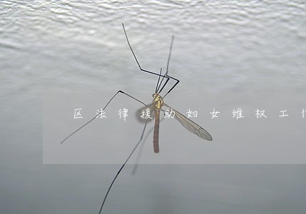 区法律援助妇女维权工作 区法律援助妇女维权工作