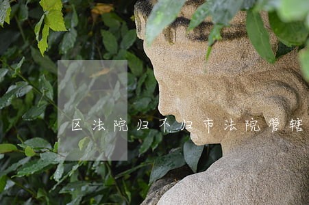 区法院归不归市法院管辖 区法院归不归市法院管辖