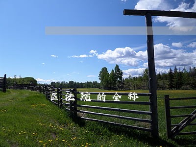区法院的全称 区法院的全称
