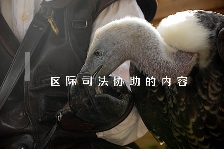 区际司法协助的内容
