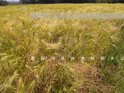 区际司法协助的相关立法