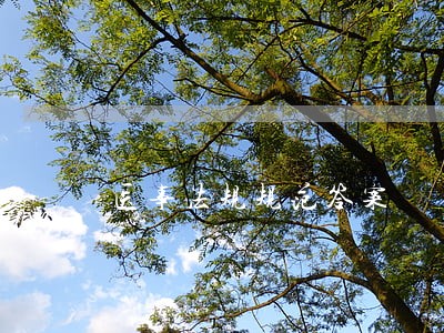 医事法规规范答案 医事法规规范答案