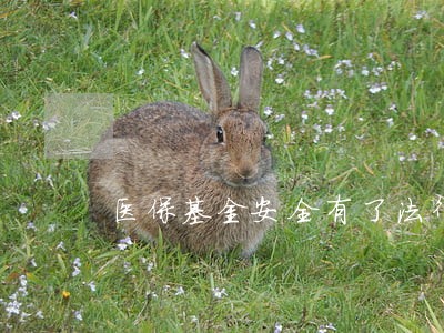 医保基金安全有了法律保障 医保基金安全有了法律保障