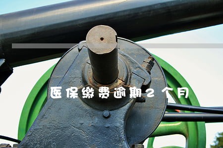 医保缴费逾期2个月 医保缴费逾期2个月