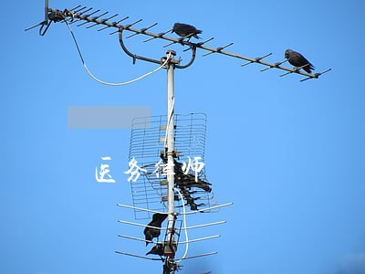 医务律师 医务律师