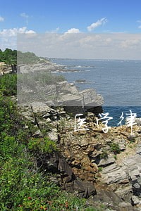 医学律师招标 医学律师招标