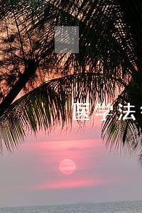 医学法律援助 医学法律援助