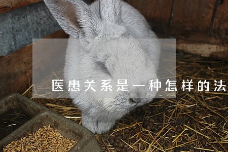 医患关系是一种怎样的法律关系