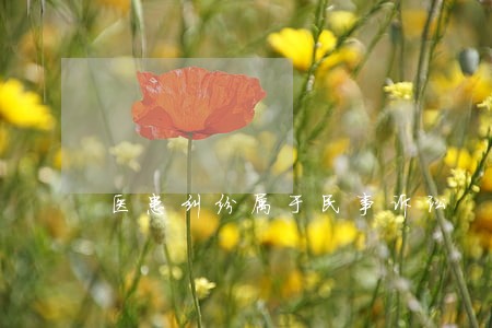 医患纠纷属于民事诉讼 医患纠纷属于民事诉讼