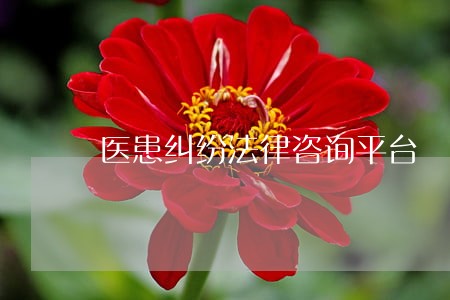 医患纠纷法律咨询平台