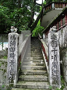 医生护士执业法规
