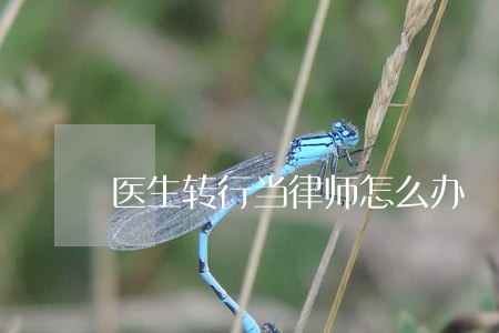 医生转行当律师怎么办 医生转行当律师怎么办