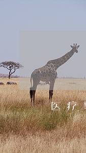医疗事故处理条例42523 医疗事故处理条例42523