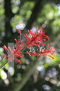 医疗事故法律咨询电话 医疗事故法律咨询电话
