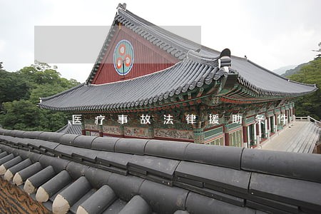 医疗事故法律援助条件 医疗事故法律援助条件