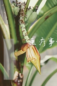 医疗事故纠纷诉讼费用一般是多少 医疗事故纠纷诉讼费用一般是多少