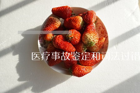 医疗事故鉴定和司法过错